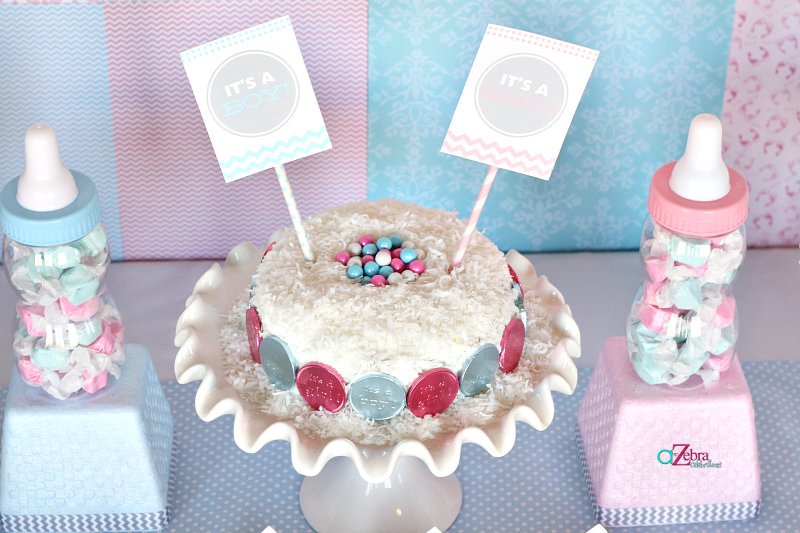 A Beautiful Baby Gender Reveal Party