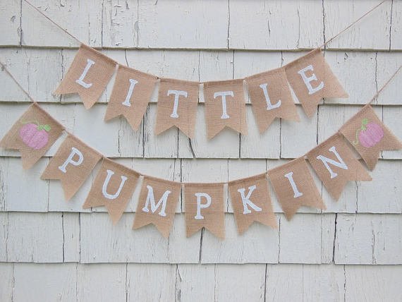 A Pink Pumpkin Baby Shower Banner