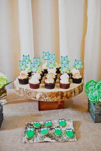 A RUSTIC OWL BABY SHOWER