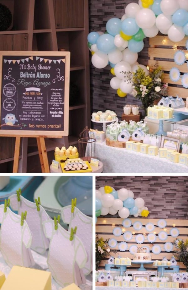 Sweet Baby Blue Owl Shower